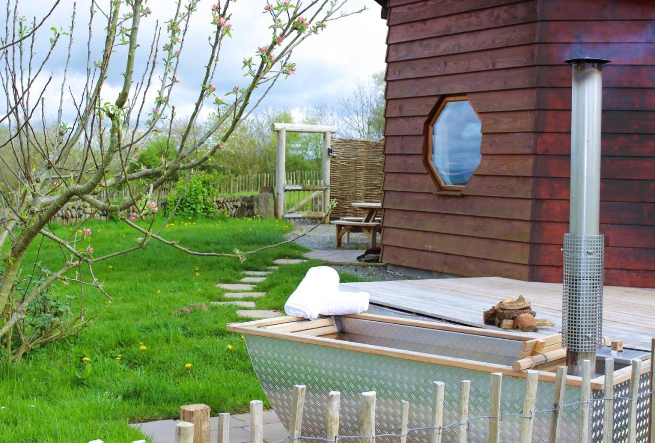 Treberfedd Farm Cottages&Cabins Lampeter Exteriör bild