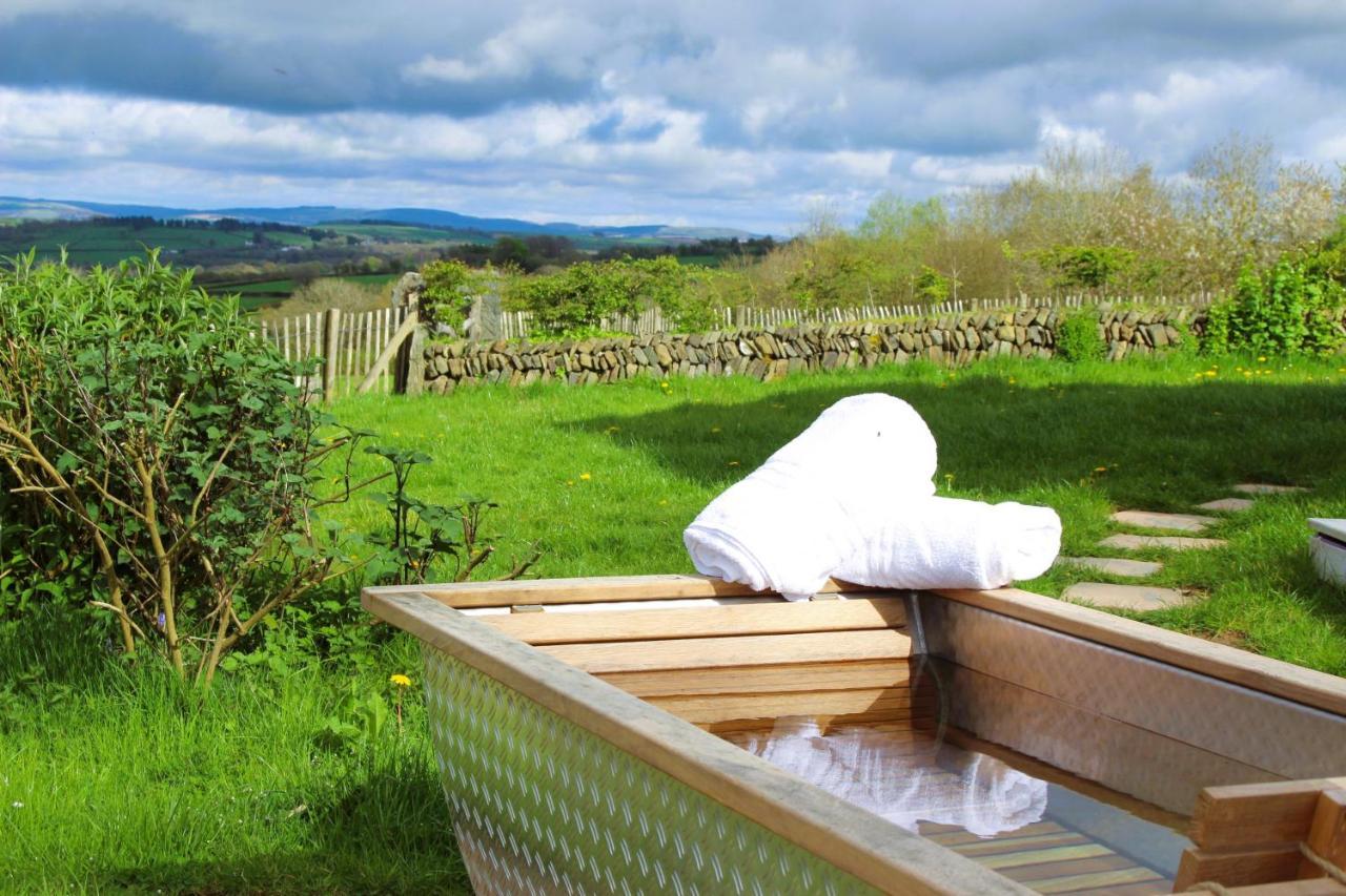 Treberfedd Farm Cottages&Cabins Lampeter Exteriör bild