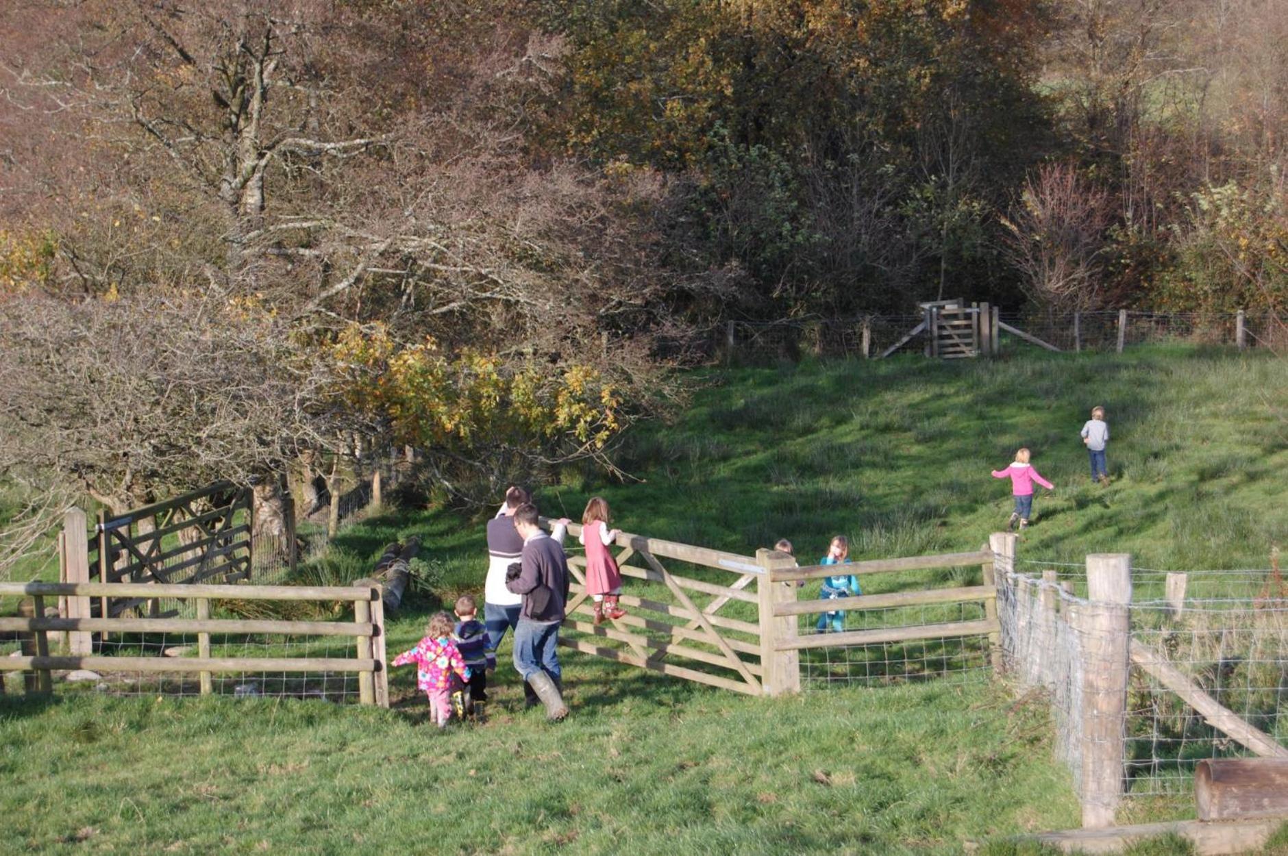 Treberfedd Farm Cottages&Cabins Lampeter Exteriör bild