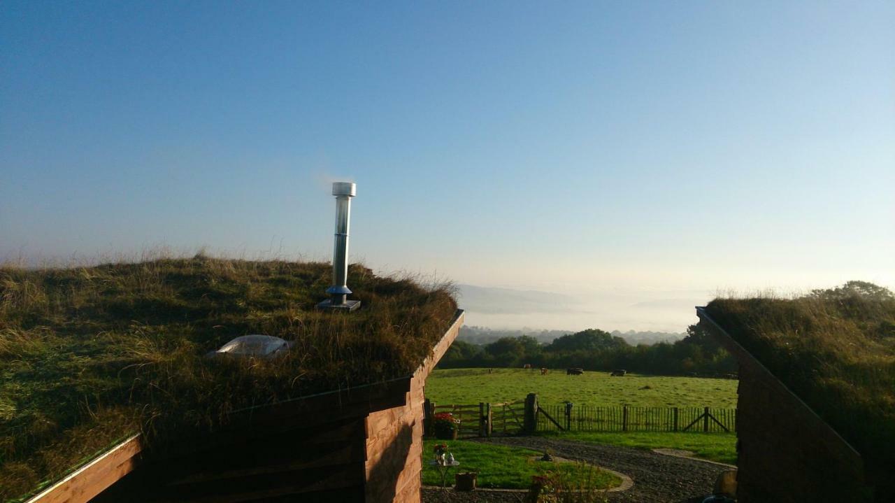 Treberfedd Farm Cottages&Cabins Lampeter Exteriör bild